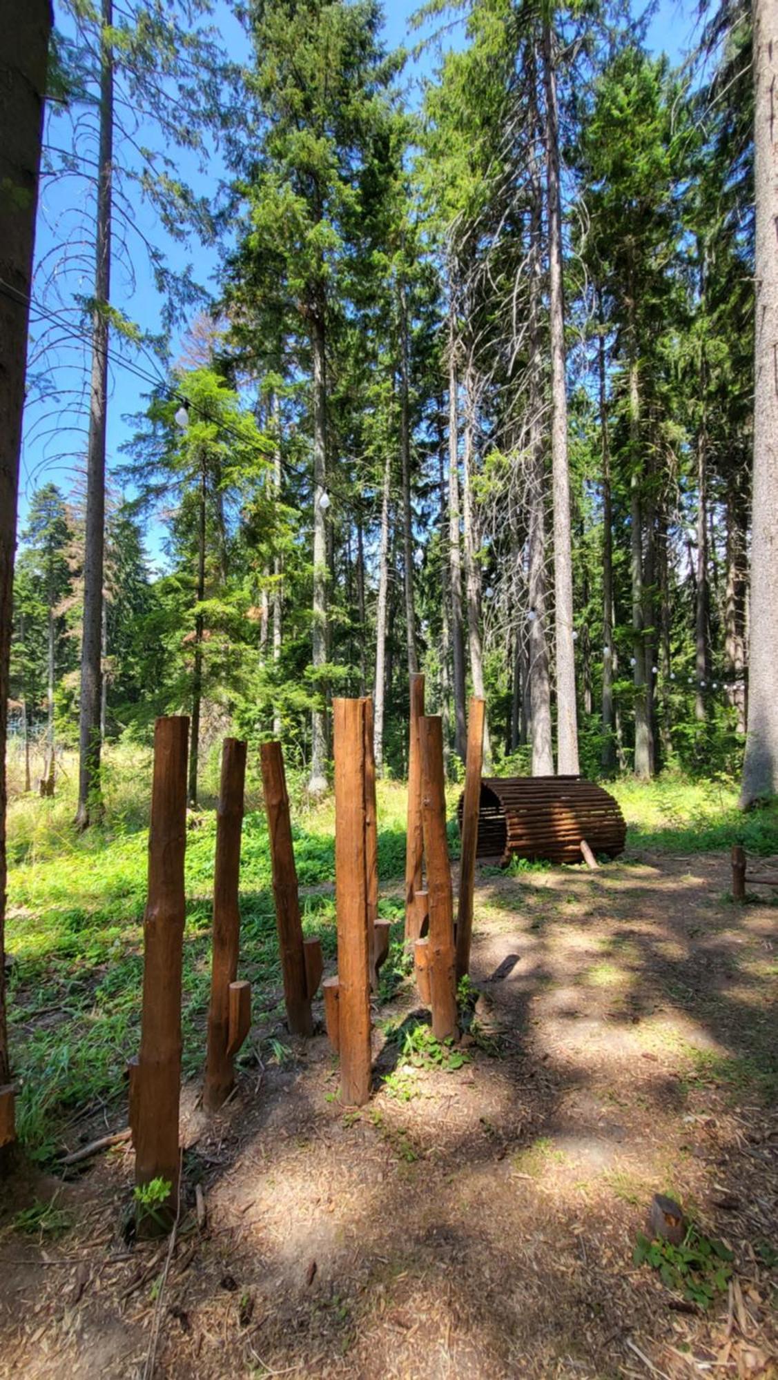 Pinewood Ang Luxurious Apartment A43, Borovets Gardens Exterior foto